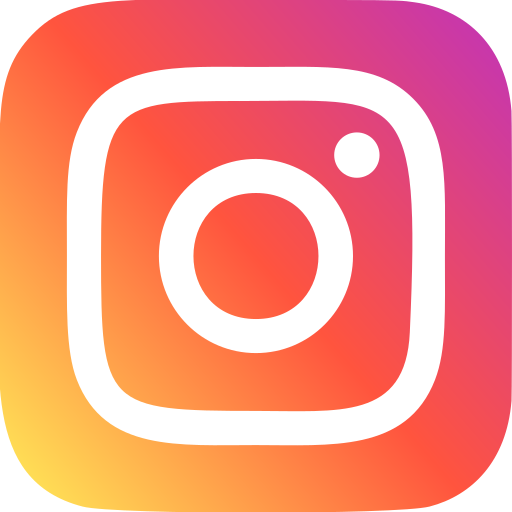 Instagram SevlushBroom